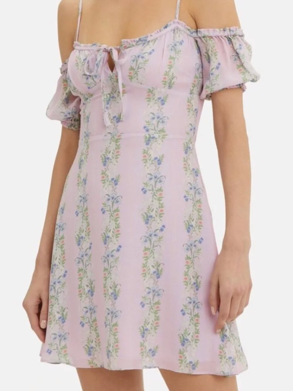 Intermix Lily Floral Mini Dress